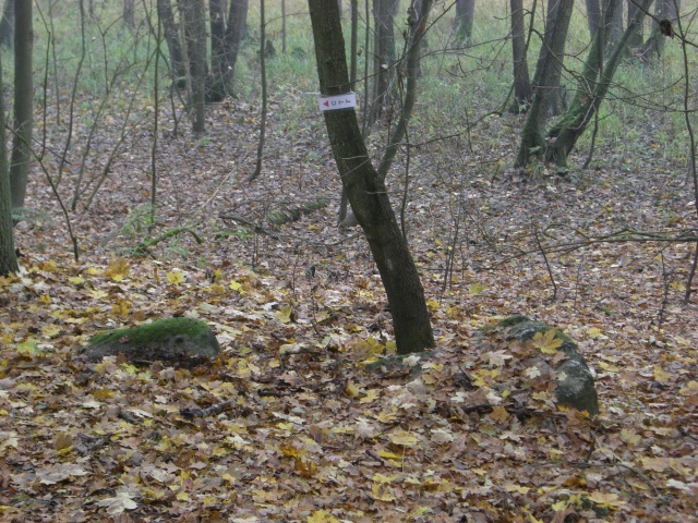 CTF-Kesselsee 041